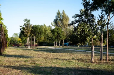 Parc des Berges de Bordeaux (3).
